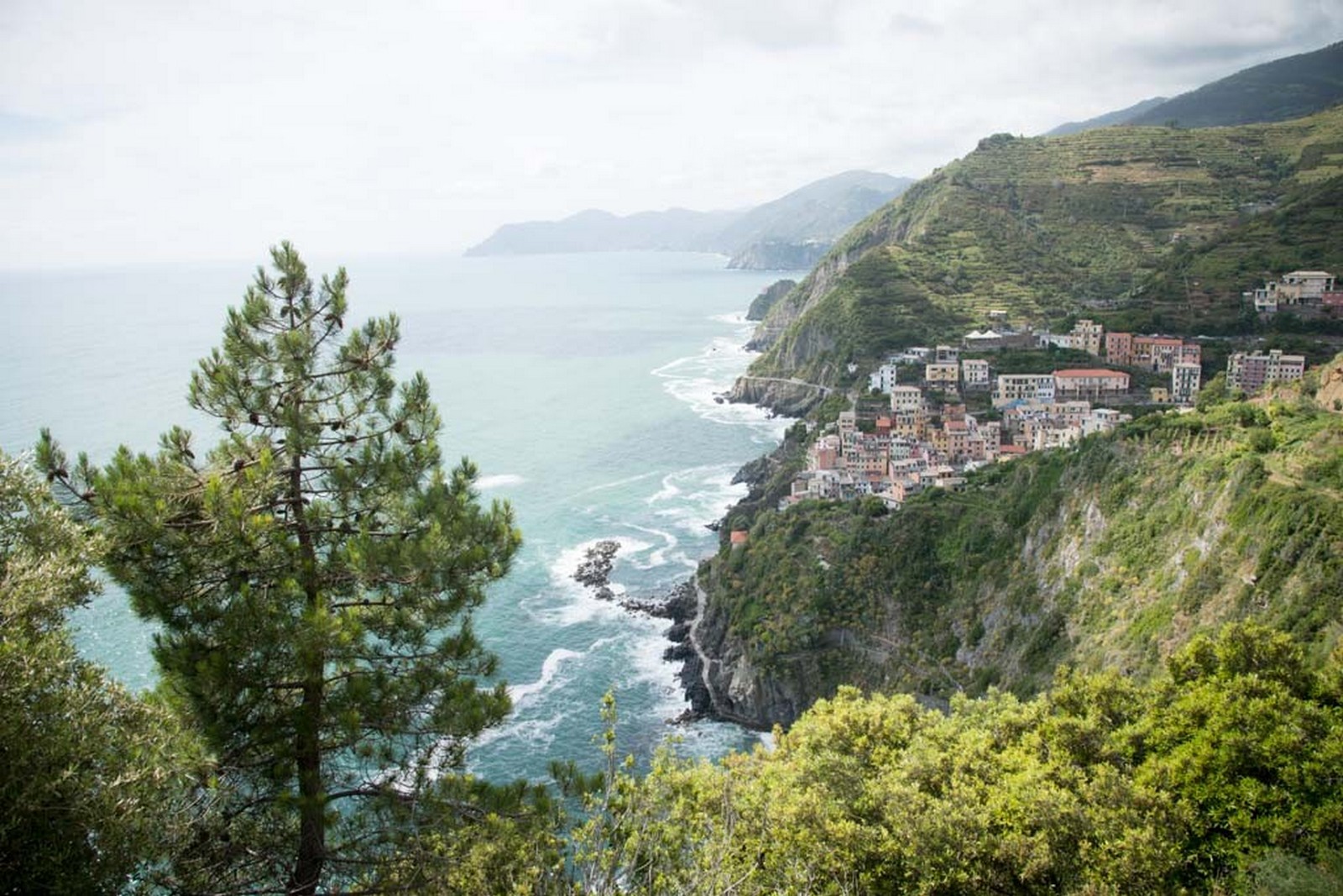 Cinque Terre Wedding