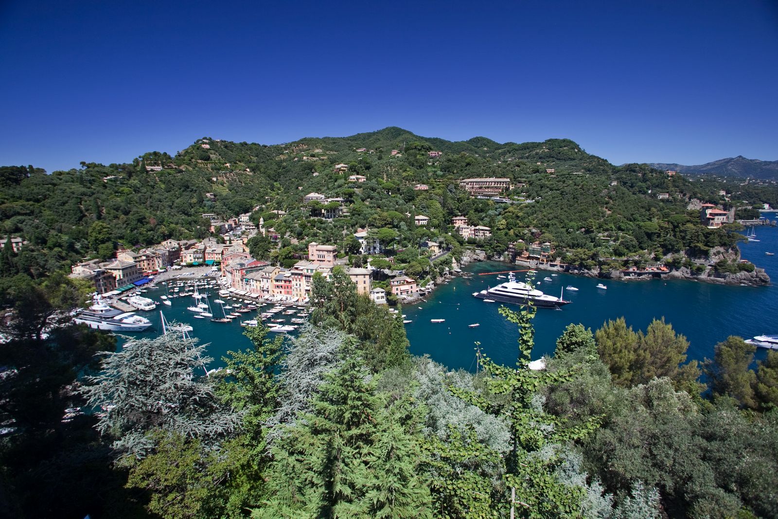 Portofino Wedding